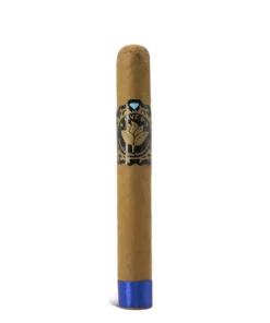Casa Nicaragua Five B Robusto Cigar
